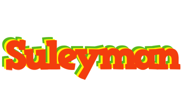 Suleyman bbq logo