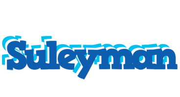 Suleyman business logo