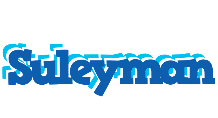 Suleyman business logo