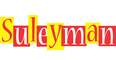 Suleyman errors logo