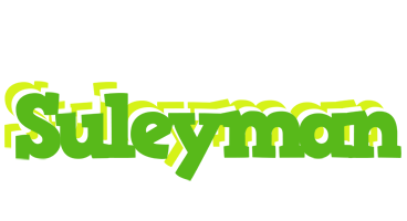 Suleyman picnic logo