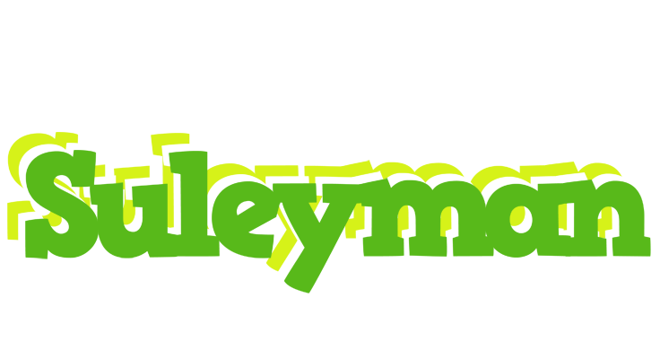 Suleyman picnic logo