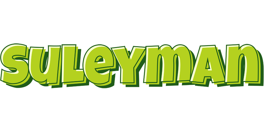 Suleyman summer logo