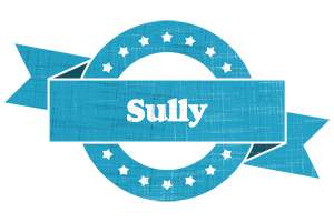 Sully balance logo