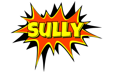 Sully bazinga logo