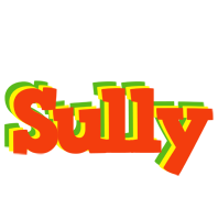 Sully bbq logo