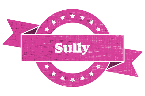 Sully beauty logo
