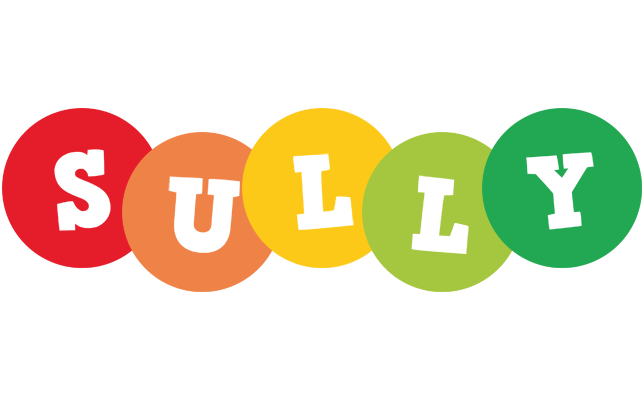 Sully boogie logo