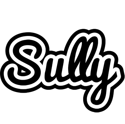 Sully chess logo