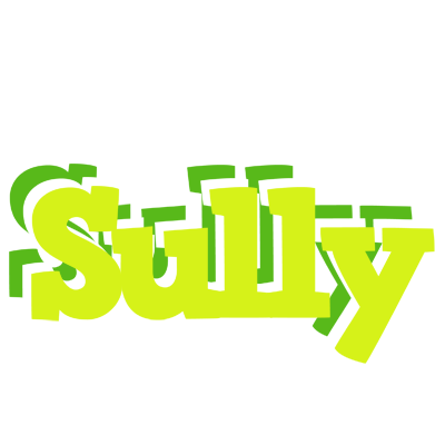 Sully citrus logo