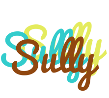 Sully cupcake logo