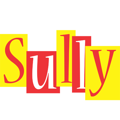 Sully errors logo