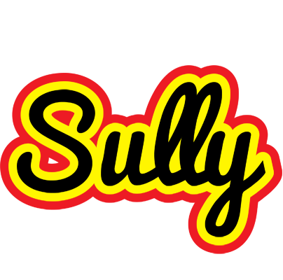Sully flaming logo