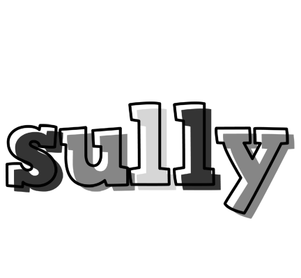 Sully night logo
