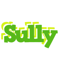 Sully picnic logo