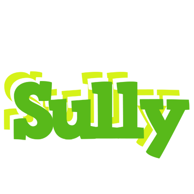 Sully picnic logo