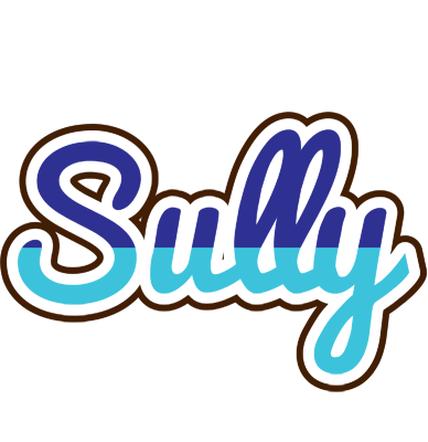 Sully raining logo