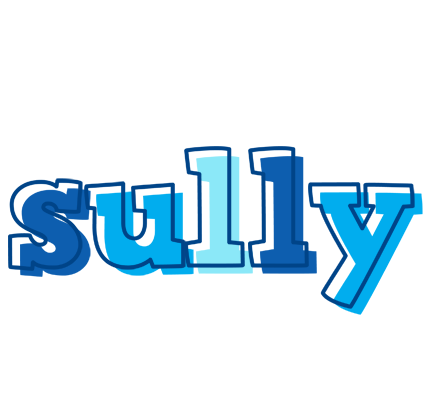 Sully sailor logo