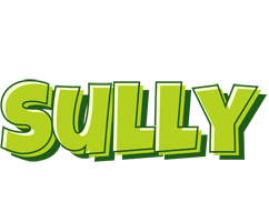 Sully summer logo