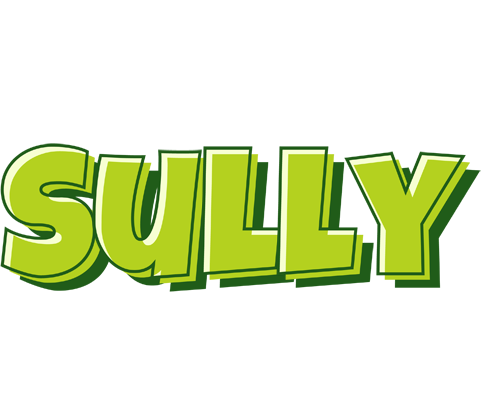 Sully summer logo
