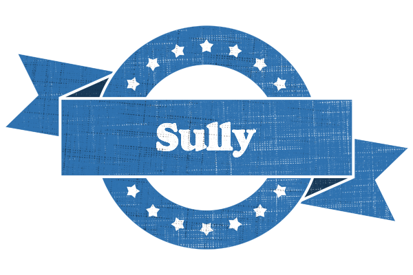 Sully trust logo