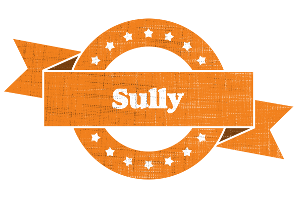Sully victory logo