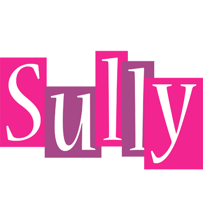 Sully whine logo