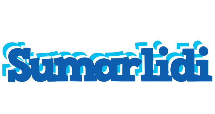 Sumarlidi business logo