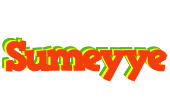 Sumeyye bbq logo