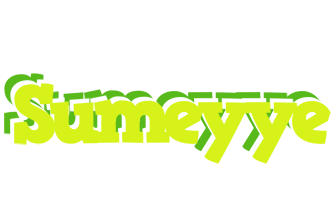 Sumeyye citrus logo