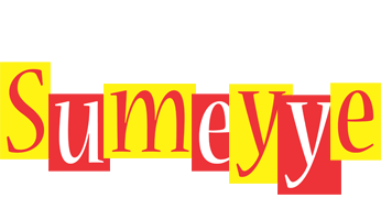 Sumeyye errors logo