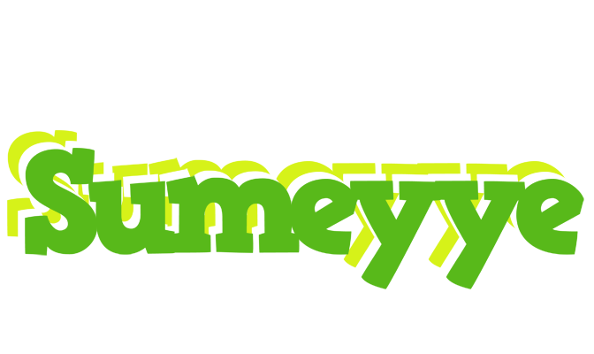 Sumeyye picnic logo