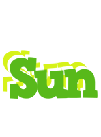 Sun picnic logo