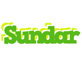 Sundar picnic logo