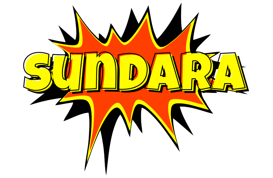 Sundara bazinga logo
