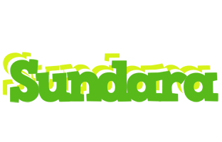 Sundara picnic logo