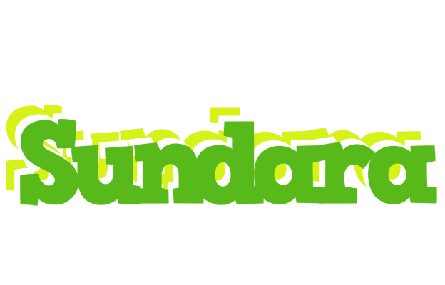 Sundara picnic logo