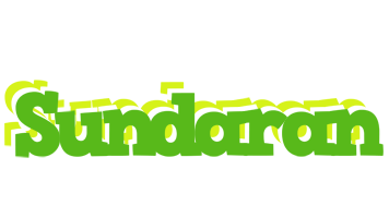 Sundaran picnic logo
