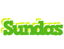 Sundas picnic logo