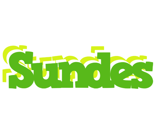 Sundes picnic logo