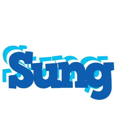 Sung business logo