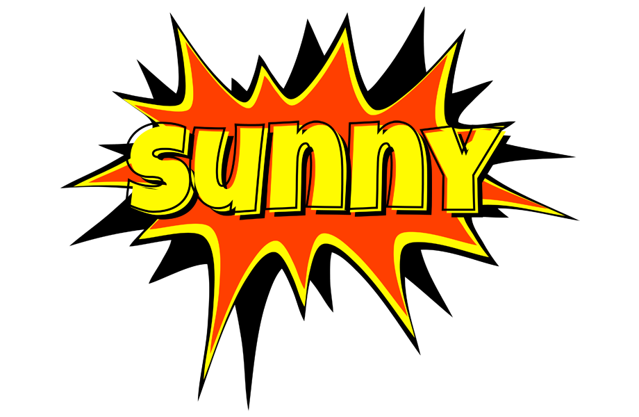 Sunny bazinga logo