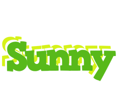 Sunny picnic logo