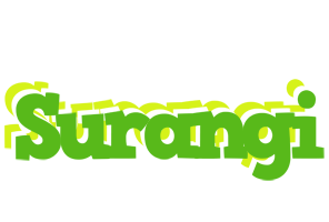 Surangi picnic logo