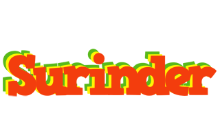 Surinder bbq logo