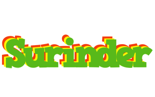 Surinder crocodile logo