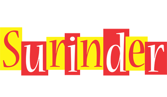 Surinder errors logo