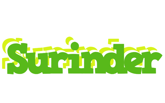 Surinder picnic logo