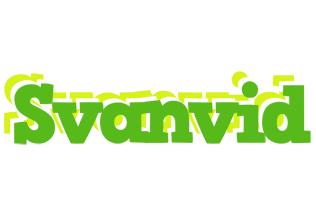 Svanvid picnic logo