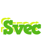 Svec picnic logo